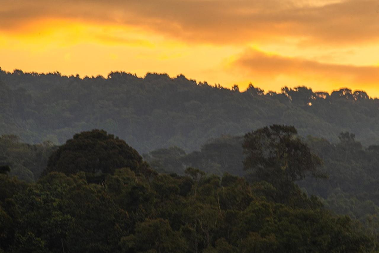 Gorilla Safari Lodge Rubuguli Екстер'єр фото