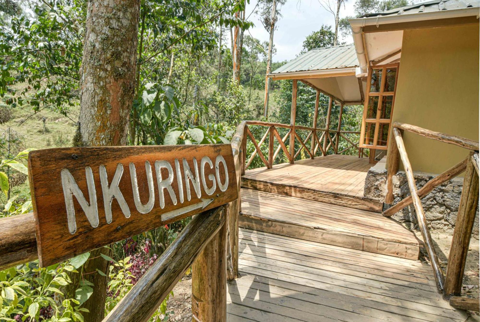 Gorilla Safari Lodge Rubuguli Екстер'єр фото
