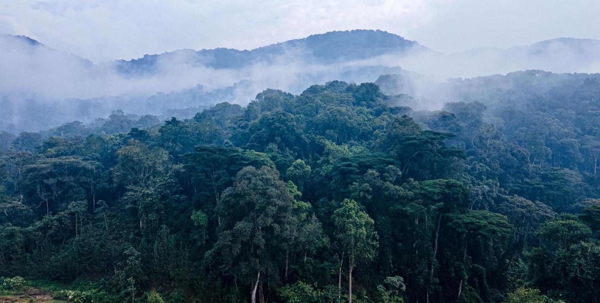 Gorilla Safari Lodge Rubuguli Екстер'єр фото