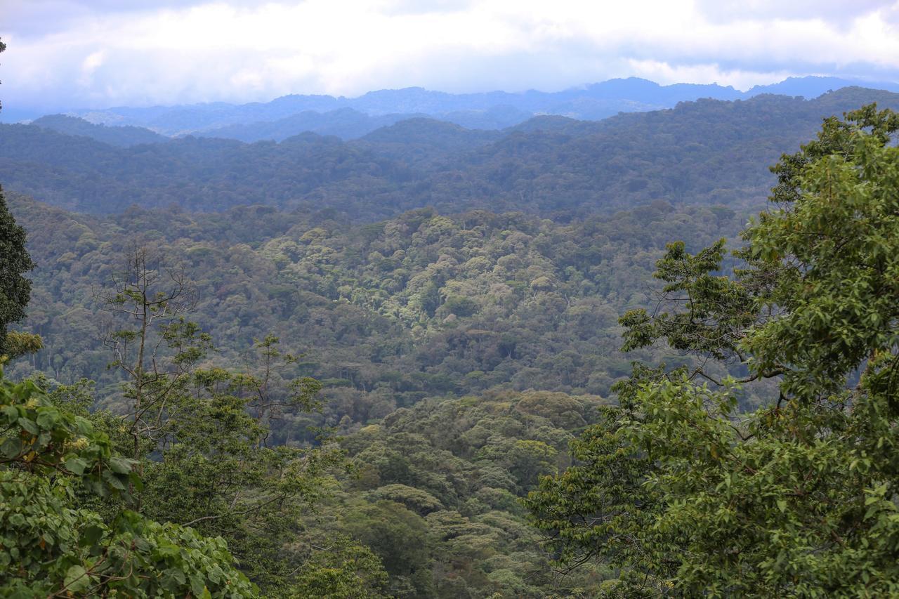 Gorilla Safari Lodge Rubuguli Екстер'єр фото