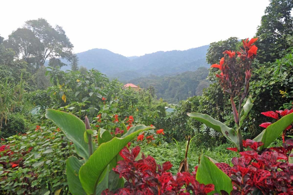 Gorilla Safari Lodge Rubuguli Екстер'єр фото